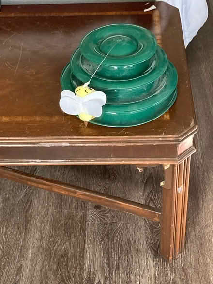 Photo of free Cat toys (Lanham) #2