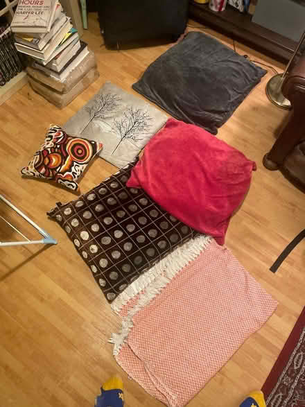 Photo of free Some nice pillows and a rug (SW17) #2