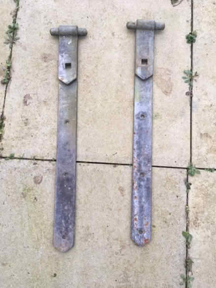 Photo of free Gate hinges (Roebuck SG2) #2