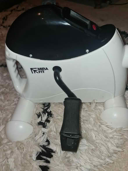 Photo of free Mini exercise bike (Selsdon) #2