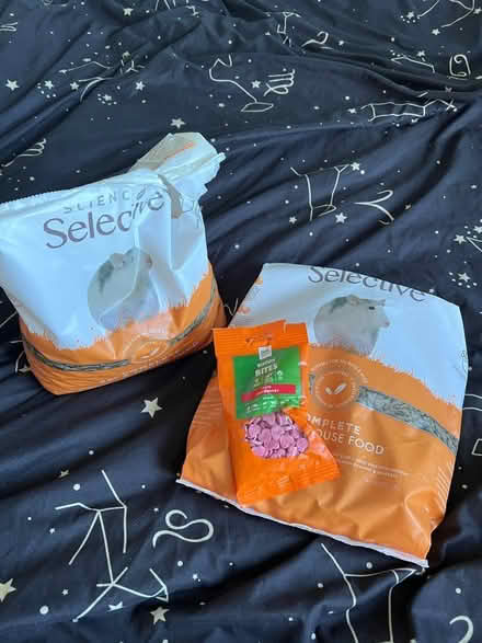 Photo of free Rat food and treats (Borrowash) #1