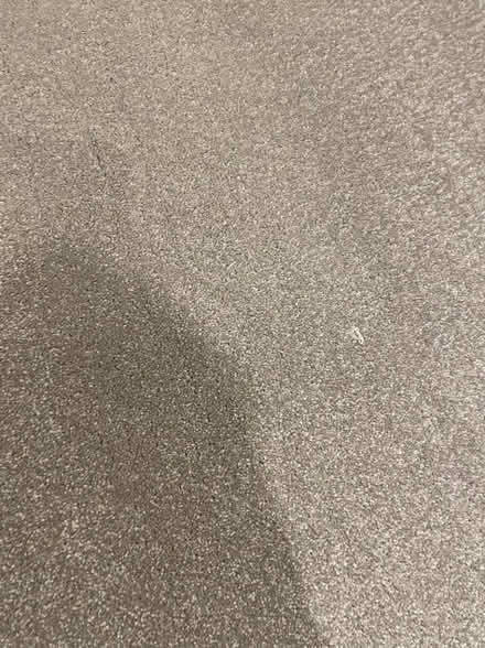 Photo of free New Carpet - 2m x 2.4m (Melbourne CM1) #1