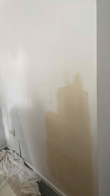 Photo of free Valspar paint- Biscuit crumbs 15L (Stockwell SW9) #1