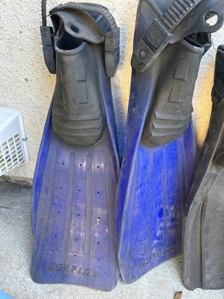 Photo of free Fins flippers (Yorba Linda) #2