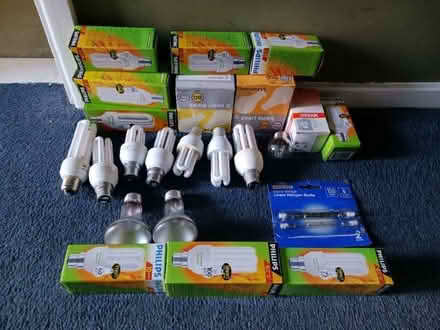 Photo of free Various light bulbs (Morley DE21) #1