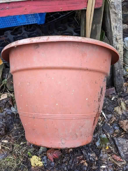 Photo of free Plastic pot large (Harbertonford TQ9) #1