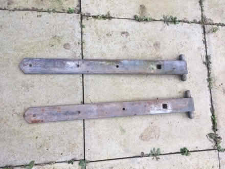 Photo of free Gate hinges (Roebuck SG2) #1