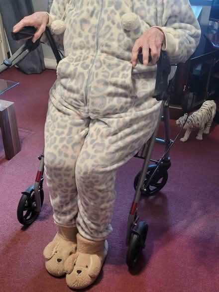Photo of free disability walking aid (Low Green WN2) #1