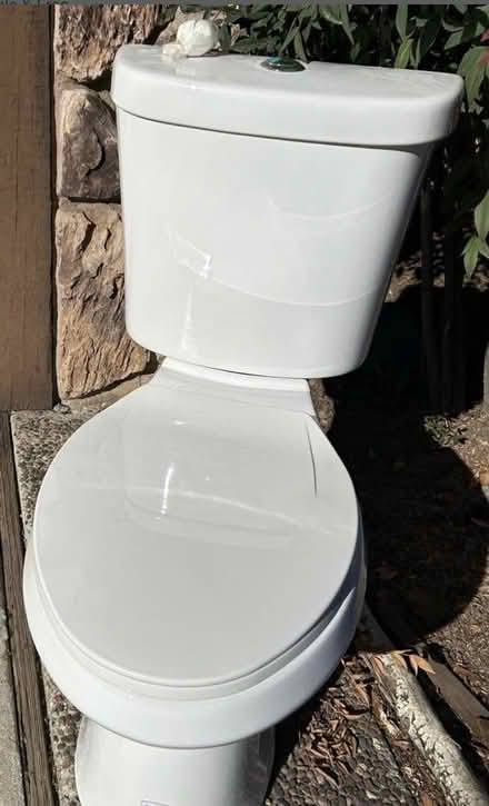 Photo of free Glacier Bay toilet (94041) #1