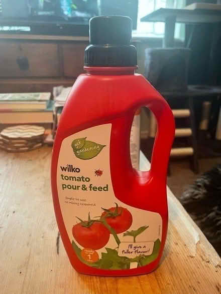 Photo of free Tomato pour and feed (Upper Walthamstow) #1