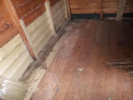 Photo of free 8x6 Wooden Shed (Hawley GU17) #1