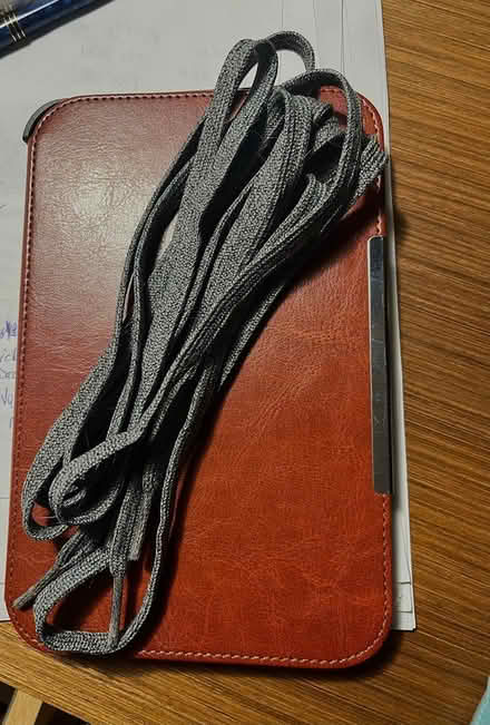 Photo of free Shoelaces - 56" - Sage Green - flat (Belltown) #1