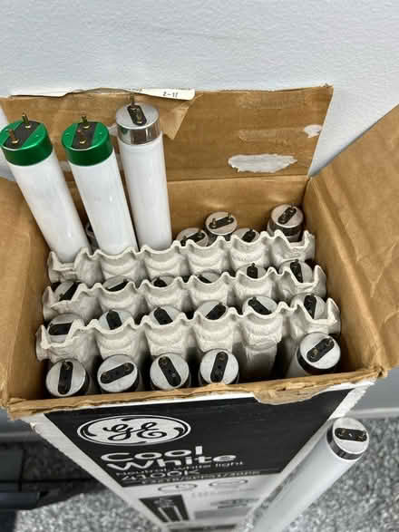 Photo of free New fluorescent light bulbs (1590 Tamiami Trl S, Venice) #2