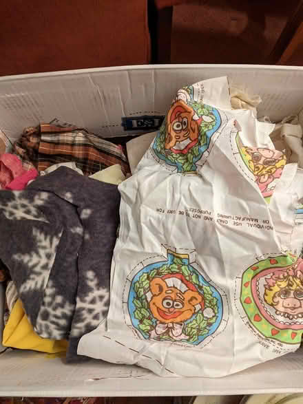 Photo of free Fabric pieces (Robbinsdale) #1