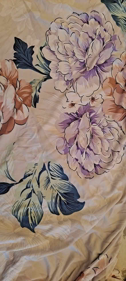 Photo of free Floral Dining Chair Covers (Wolverton, MK12) #4