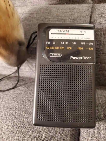 Photo of free Handheld AM/FM radio (8 Mile & Dequindre) #2
