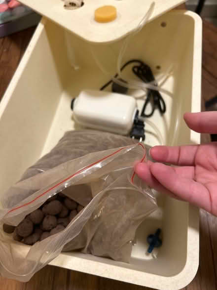 Photo of free Hydroponics kit (Crown heights) #2