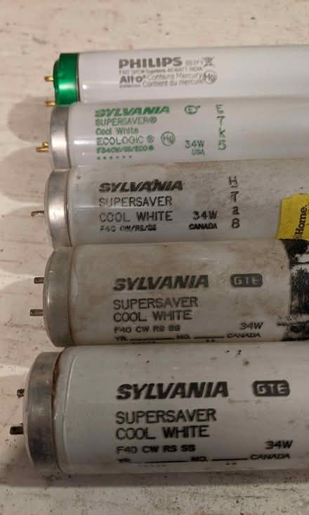 Photo of free Florescent light bulbs (Cabbagetown) #1