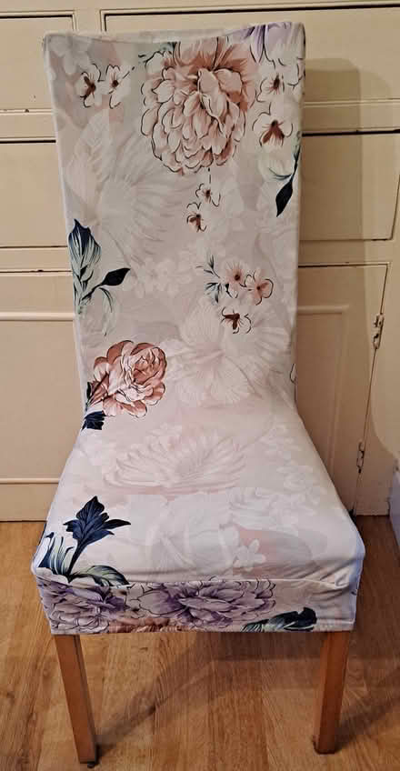 Photo of free Floral Dining Chair Covers (Wolverton, MK12) #1