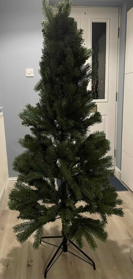 Photo of free Christmas Tree (Willington DE65) #1