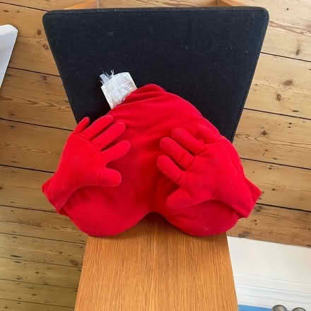 Photo of free 2 Novelty cushions i- can separate (Welwyn AL6) #2