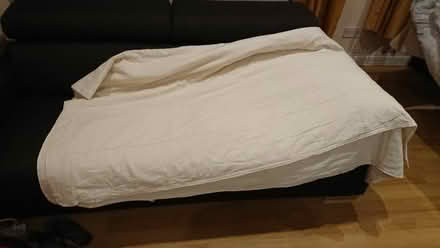 Photo of free 2 blankets (Chiswick W4) #1