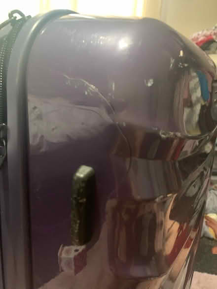 Photo of free Purple large suitcase (Bechstein meadow) #4