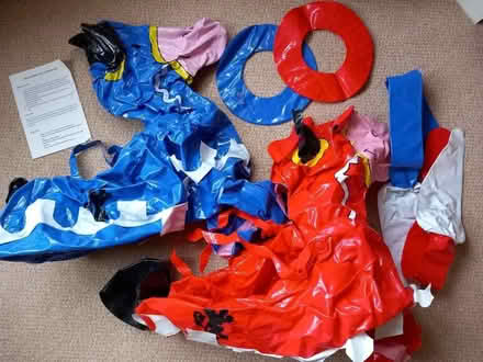 Photo of free Blow up jousting set (Hathern LE11) #2