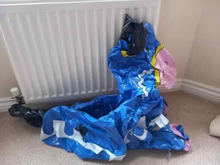 Photo of free Blow up jousting set (Hathern LE11) #3
