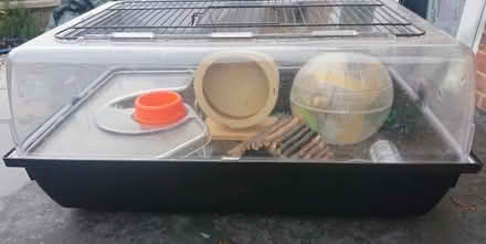 Photo of free Hamster cage and toys (Upper Wolvercote OX2) #1
