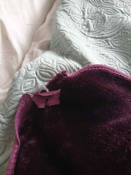 Photo of free Large Fleece Throws (Trowbridge BA14) #2