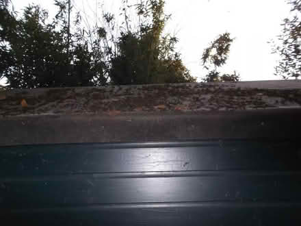 Photo of free 8x6 Wooden Shed (Hawley GU17) #4