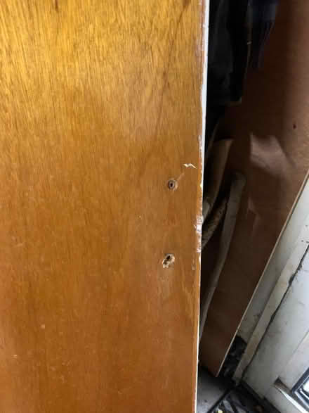 Photo of free Internal flush door (Longley Green WR6) #3