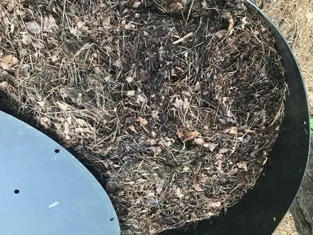 Photo of free Compost bin and compost (organic) (Chatham MA) #2