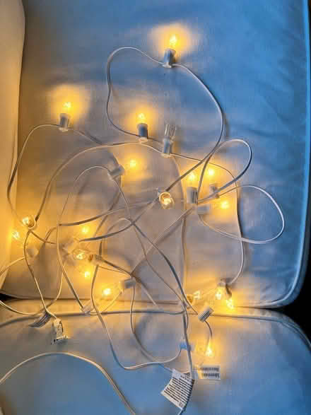 Photo of free fairy christmas lights (oakland) #1