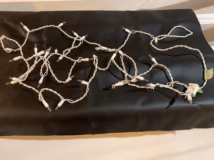 Photo of free Indoor white Christmas lights (Orleans - Chapel Hill South) #1