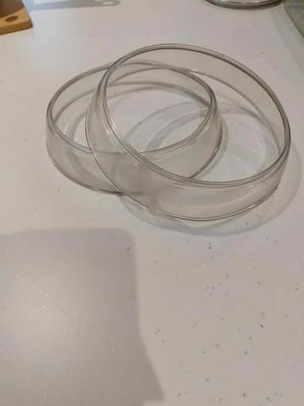 Photo of free 2 stacking plate rings (Darley Hillside DE4) #1