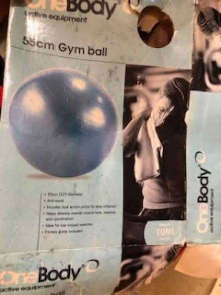 Photo of free Gym balls (Ballumbie DD4) #1