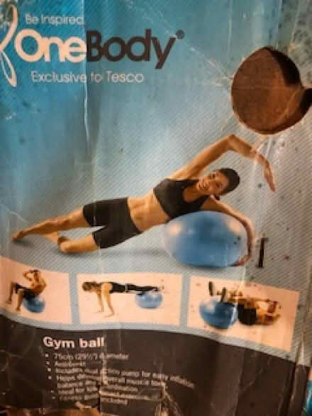 Photo of free Gym balls (Ballumbie DD4) #3