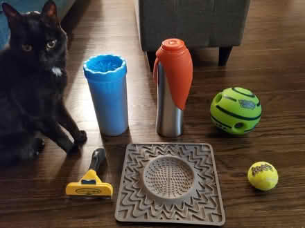 Photo of free Miscellaneous dog toys/accessories (8 Mile & Dequindre) #1