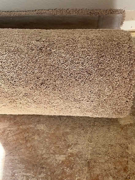 Photo of free carpet and padding (Highlands ranch) #1