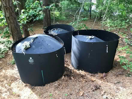 Photo of free Compost bin and compost (Chatham MA) #1