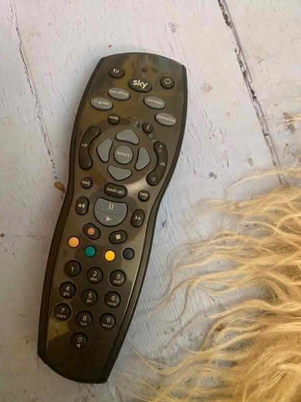 Photo of free Sky Remote Control (Grange Court E10) #1