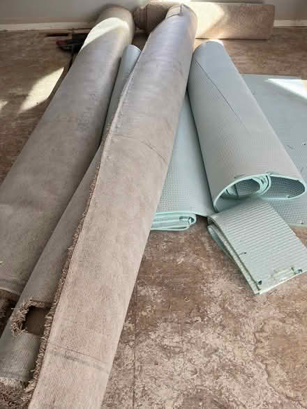 Photo of free carpet and padding (Highlands ranch) #2