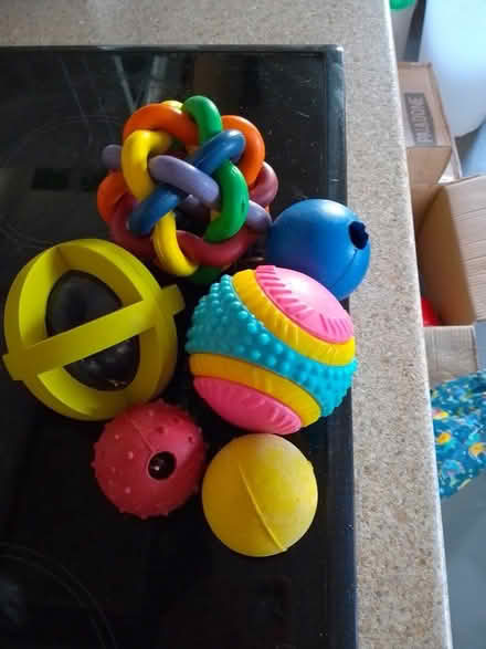 Photo of free Dog toys (Long Melford) #1