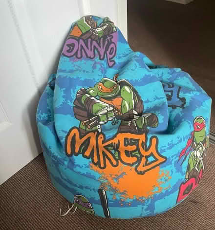 Photo of free Ninja turtles bean bag (droitwich) #1