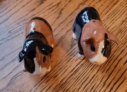 Photo of free Guinea pig salt & pepper shakers (Latchford WA4) #3