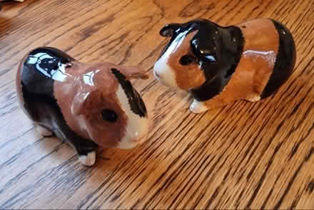 Photo of free Guinea pig salt & pepper shakers (Latchford WA4) #2