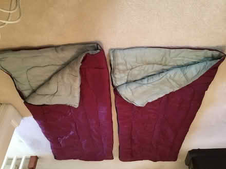 Photo of free 3 sleeping bags (West side of Spartanburg, SC) #3