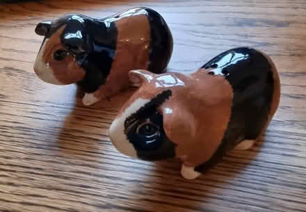 Photo of free Guinea pig salt & pepper shakers (Latchford WA4) #1